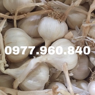 1kg tỏi lý sơn khô nhiều tép chính gốc 100% lý sơn thơm ngọt