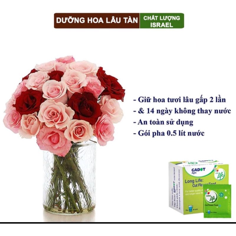 Hộp 10 gói Dưỡng hoa tươi lâu Long Life nhập khẩu Israel giúp hoa lâu tàn, tươi lâu gói 5 gram