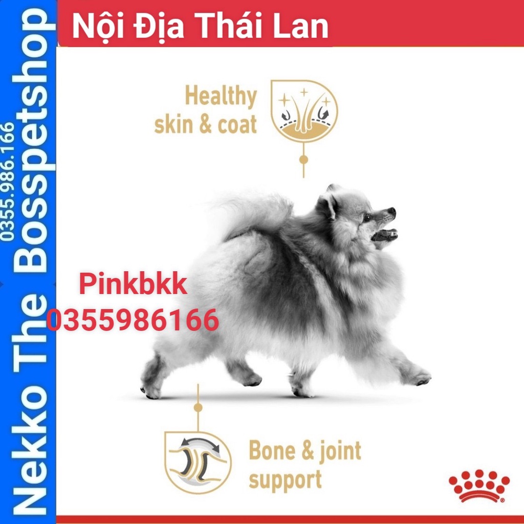 Pate Royal Canin Pomeranian 85g ⚡  NỘI ĐỊA THÁI ⚡  cho chó Phốc Sóc Pomeranian trưởng thành từ 8 tháng tuổi trở lên