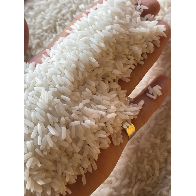 Gạo Lài Sữa 10 Ký (Dẻo Thơm Dai Cơm )
