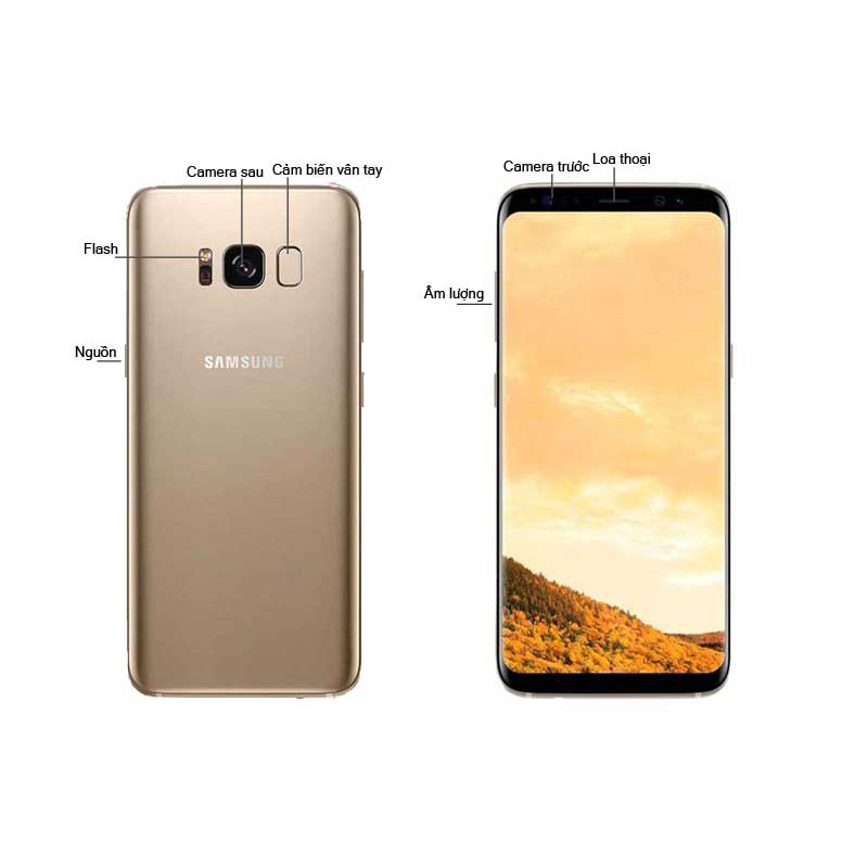 điện thoại Samsung S8 Plus 2sim ram 4G bộ nhớ 64G mới (màu vàng)