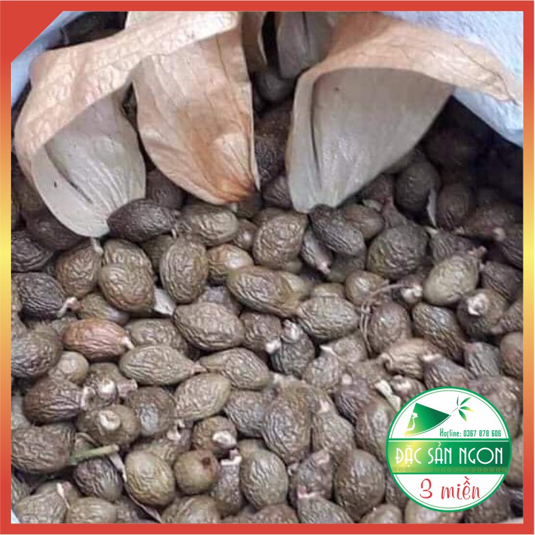500gr Hạt Đười Ươi Rừng Bay Loại Trung | BigBuy360 - bigbuy360.vn