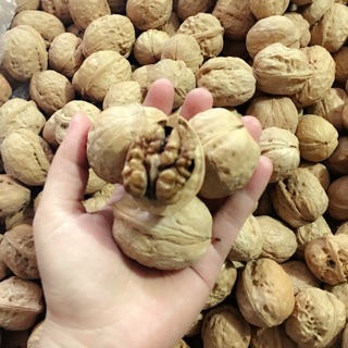 Quả Óc Chó Giấy vỏ siêu mỏng 1Kg