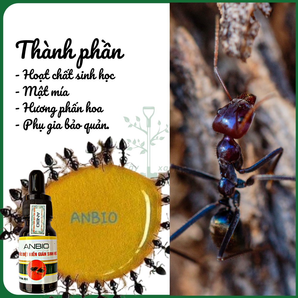 Chế Phẩm Sinh Học Diệt Kiến, Diệt Gián ANBIO Hiệu Quả 100% - Key: Đất sạch, Phân Bón, Hữu Cơ, Xơ Dừa