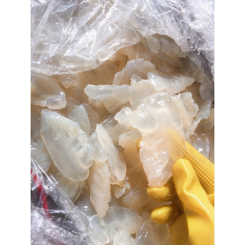 MỰC CÂU TO VIP LOẠI NGON NHẤT - ĐẶC SẢN HẠ LONG 500G, 1KG | BigBuy360 - bigbuy360.vn