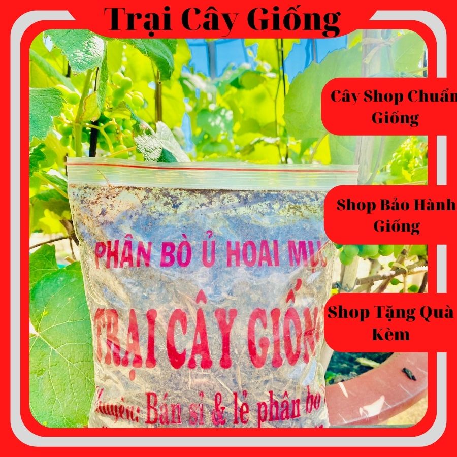 Phân Bò Khô Nguyên Chất Ủ Hoai Mục 1kg