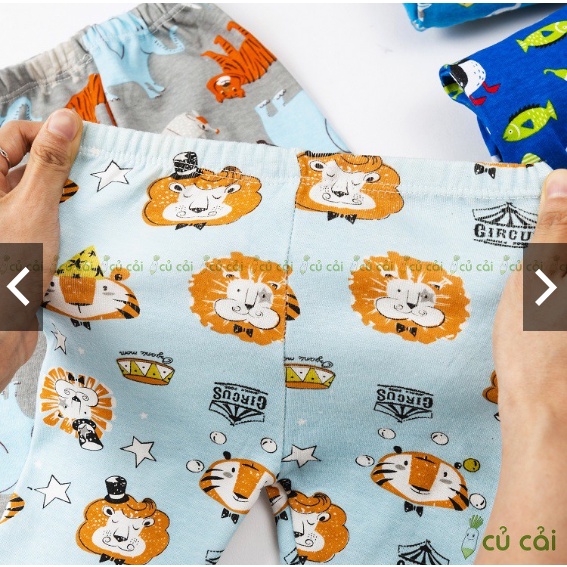 Quần chục dài cho bé chất cotton bozip đẹp 8-17kg QCH01
