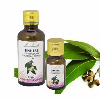 Tinh Dầu Bạch Đàn Chanh
