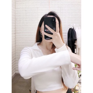 Áo crop cổ bẻ (+hình thật)