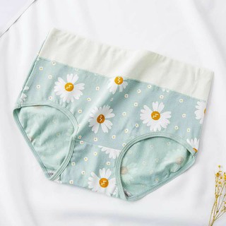 Quần lót cotton cạp cao gen nhẹ họa tiết phối hoa cúc