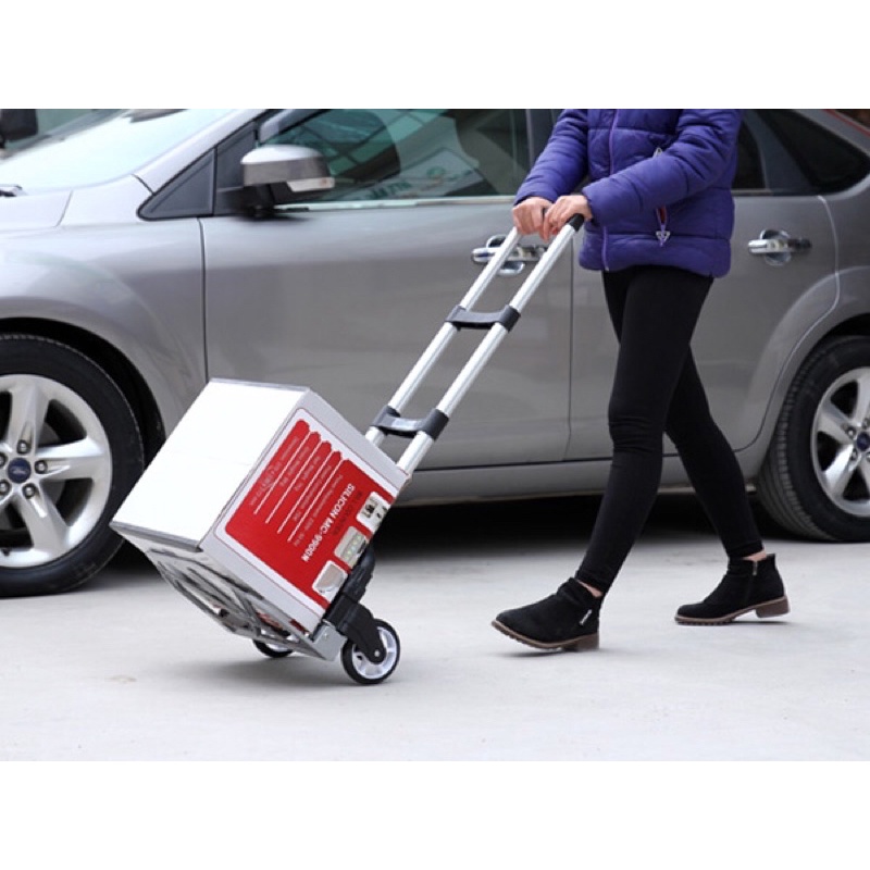 Xe đẩy rút gọn 100kg TL-85D