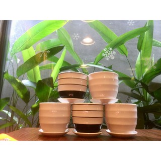 Chậu trồng cây sứ Bát Tràng