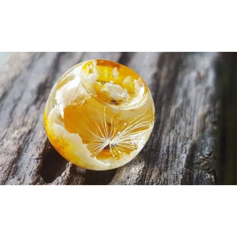 Hoa bồ công anh khô dùng trong trang trí resin handmade, hoa cưới bồ công anh