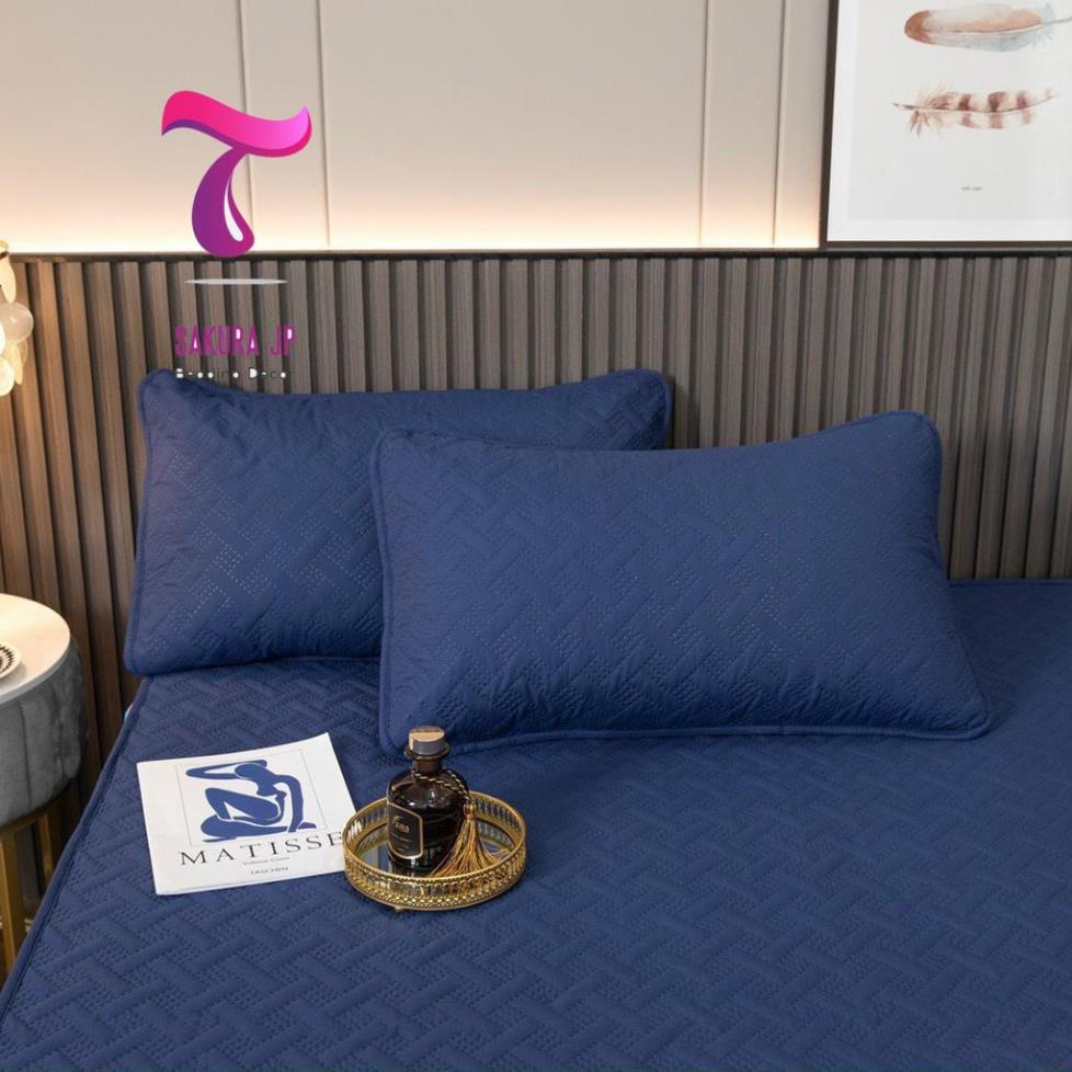 HÀNG MỚI- Ga Gối Chống Thấm Cotton Trần Bông Ép Nhiệt Cao Cấp - Ga Cotton Chống Thấm | BigBuy360 - bigbuy360.vn