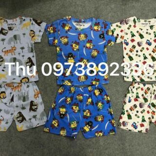 Bộ carter set 4 bộ