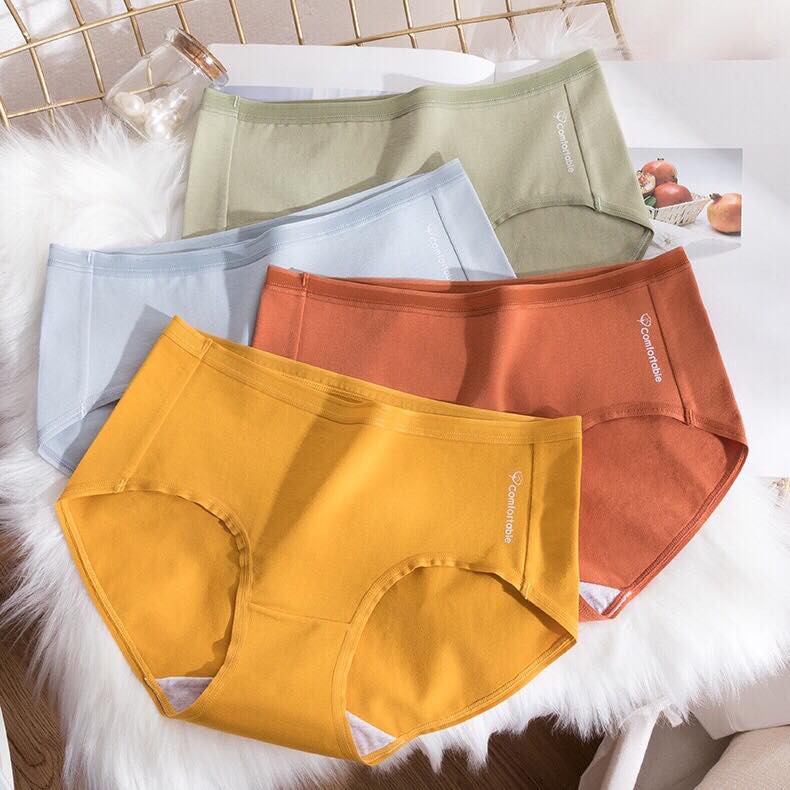 FS50k_[Set 3 Quần] Quần lót nữ Comfortable trơn cotton (ảnh thật ở cuối) | BigBuy360 - bigbuy360.vn