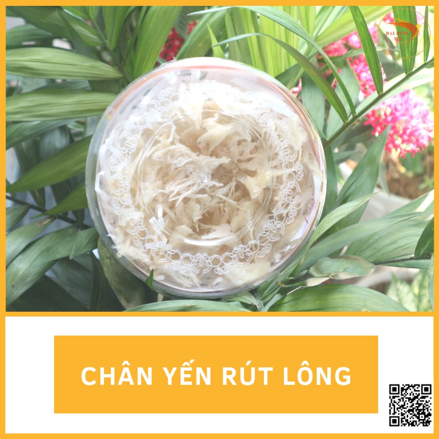 CHÂN YẾN RÚT LÔNG- [100% ❤TỔ YẾN NGUYÊN CHẤT CẦN GIỜ]_ĐẠI HÙNG YẾN