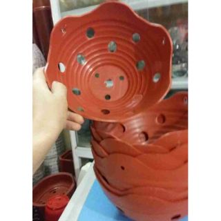 Chậu trồng lan 20cm x10cm