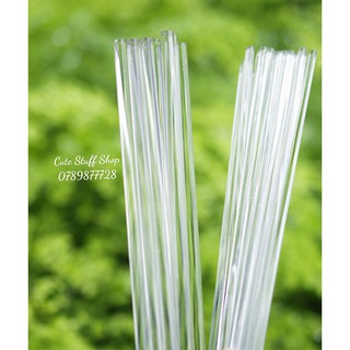 Phụ kiện tiểu cảnh Que nhựa trong
