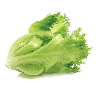 Hạt Giống Rau Xà Lách Pháp - Nato Trang Nông 254 1g/Gói- Dễ Trồng, Lên Nhiều, Nhanh Thu Hoạch, Tốt Cho Sức Khoẻ