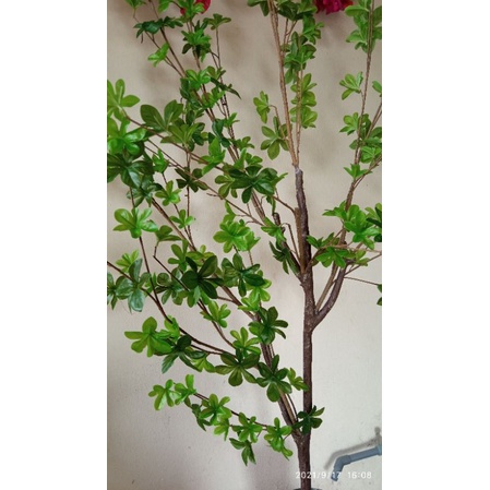 Cây giả- cây Thạch Nam trang trí nhà cửa cao 1,4 met