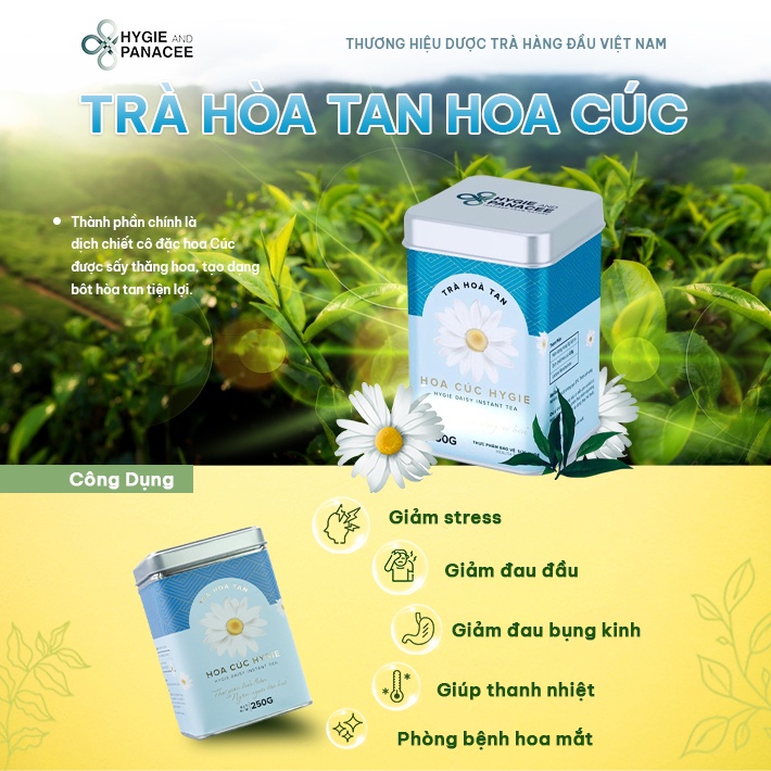 Trà Hoa Cúc Hygie&Panacee 50g/250g thanh nhiệt, thư giãn tinh thần