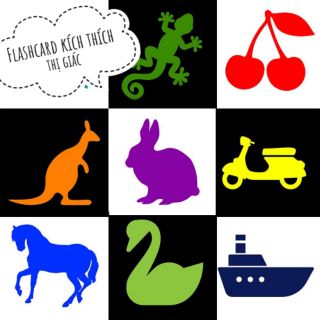 Thẻ kích thích thị giác Flashcard cứng