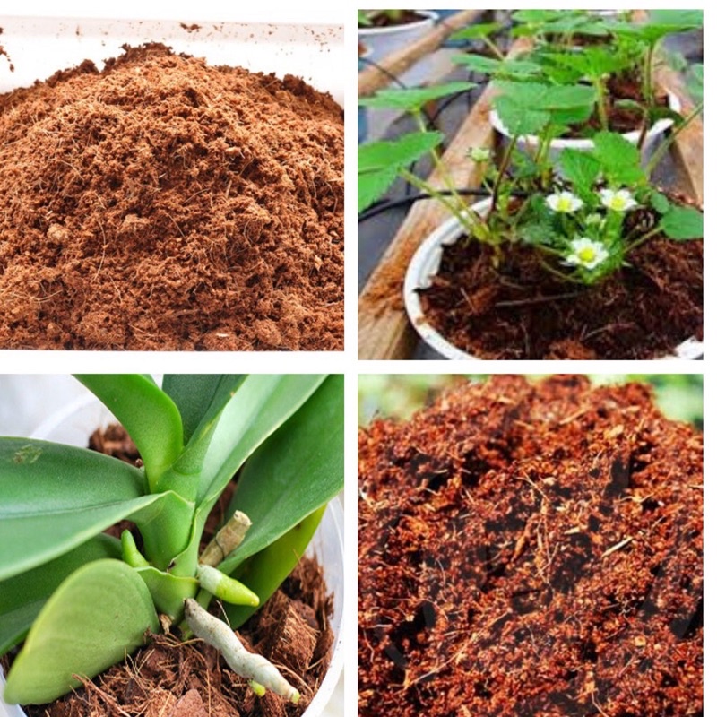 1kg xơ dừa đã qua xử lý, trồng lan, cây cảnh, rau mầm, trộn giá thể sen đá xương rồng