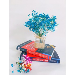 Combo lọ thuỷ tinh + hoa baby khô trag trí & decor phong cách vintage