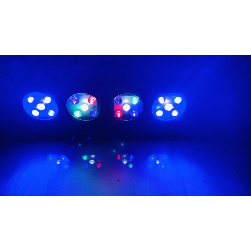 Đèn bể cá biển Hydra AI