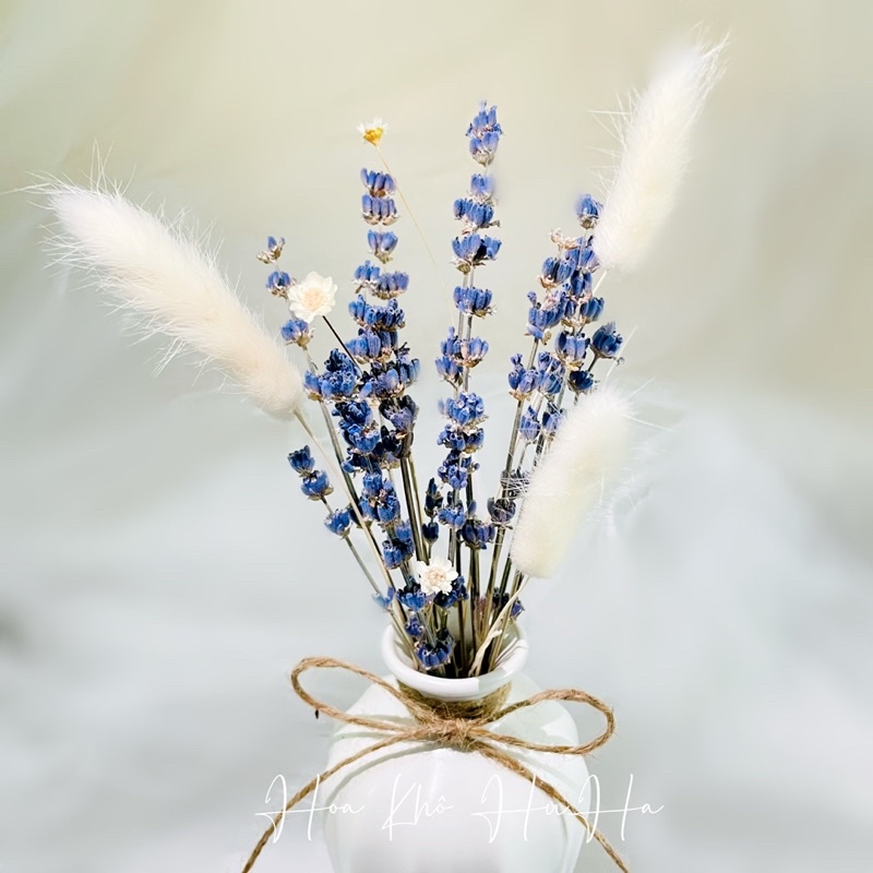 Lọ Hoa Khô Lavender- Hoa Oải Hương Khô Mix Đuôi Thỏ, Snowy