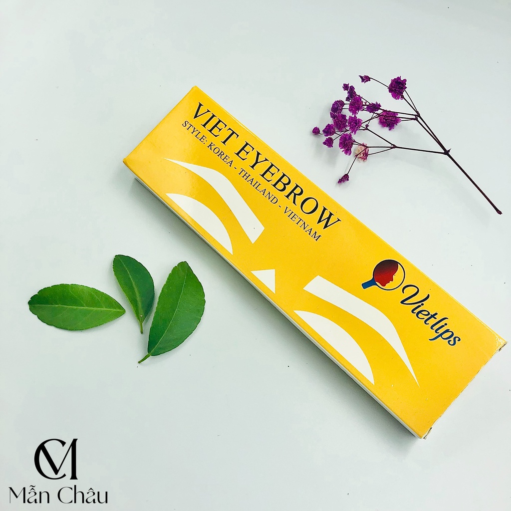Khuôn Vẽ Mày Vietlip 5 Dáng Thiết Kế  Đẹp Chuẩn Master