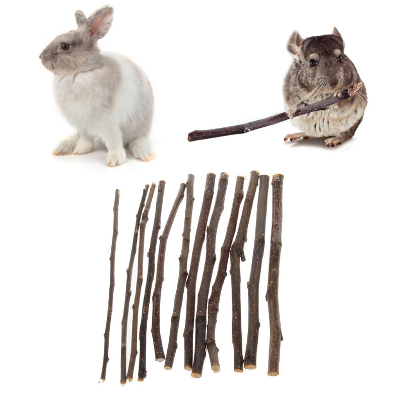 Cành Cây Gỗ Apple Tự Nhiên Đồ Chơi Cho Chuột Hamster