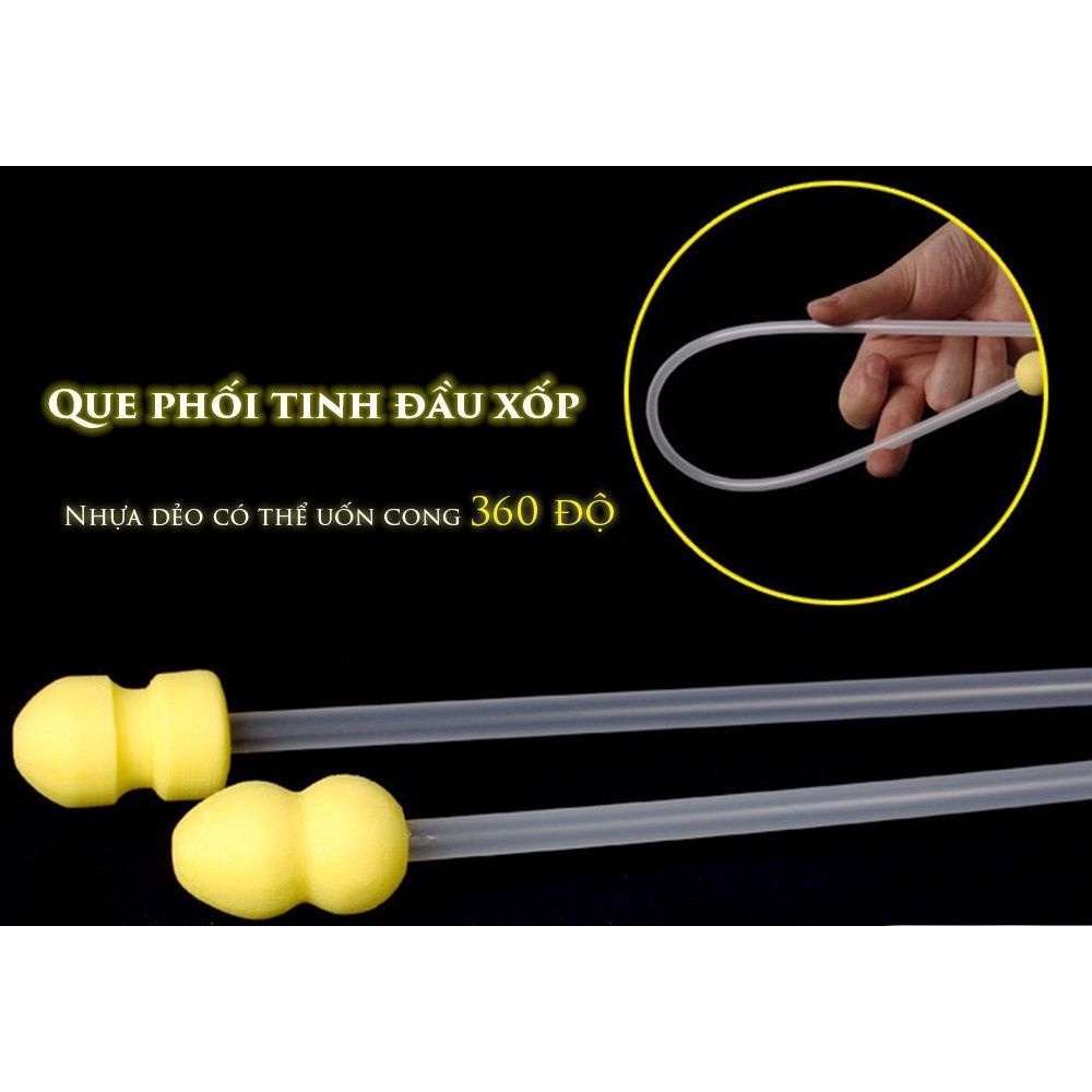 Que phối tinh nông (đầu to và nhỏ)