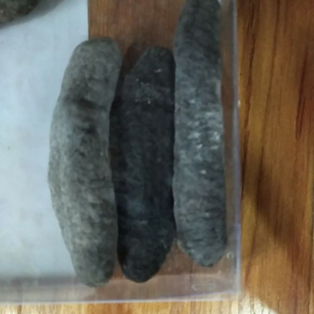 1 CON HẢI SÂM