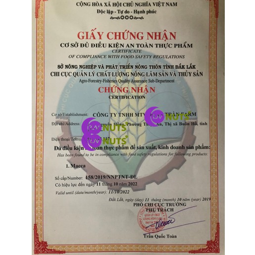 Hạt Macca 3kg loại 1 (Macadamia) Đắc Lắc hàng đại trà