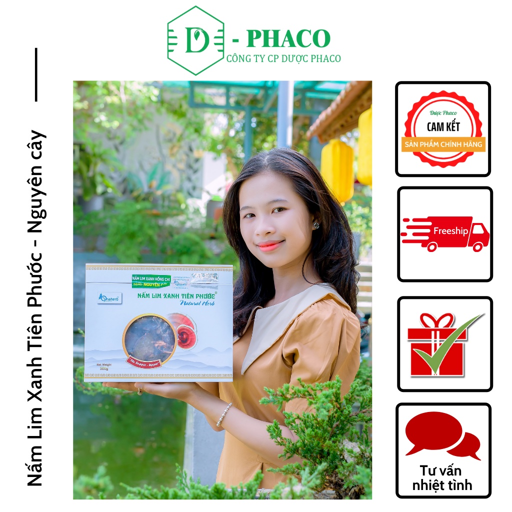 Nấm Lim Xanh Tiên Phước - Nguyên cây 500GR