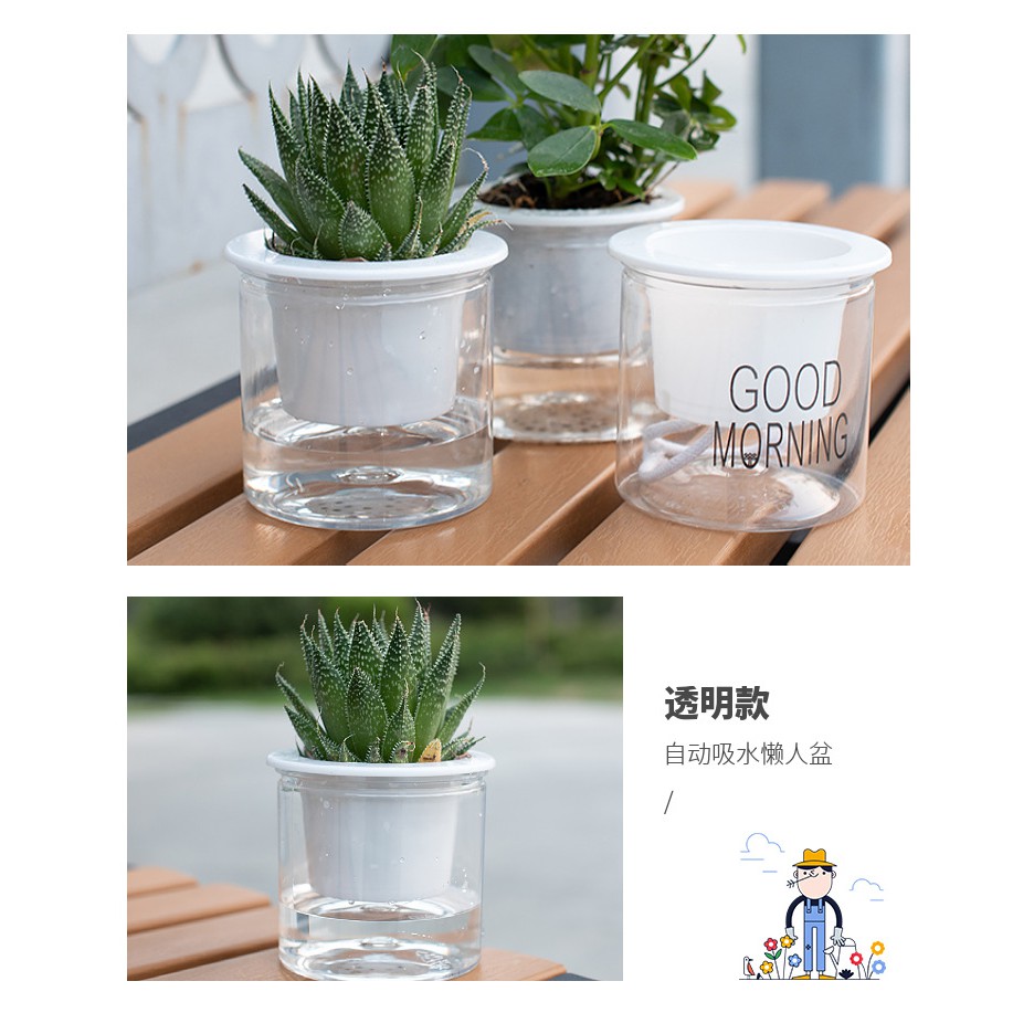 Chậu nhựa tự tưới nước, trồng cây nội thất, cây văn phòng kích thước 11 x 12 cm