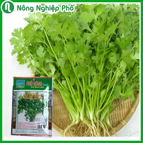 Gói 20 gram - Hạt giống Ngò Bac Liêu PN