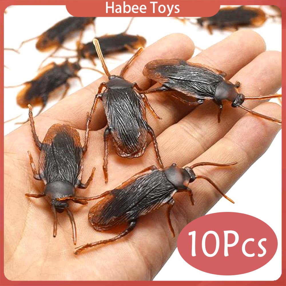 10 Con Gián Giả Bằng Cao Su