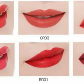 SON APIEU COLOR LIP STAIN