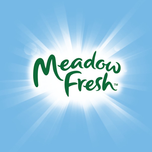 Hộp sữa tươi tiệt trùng Ít béo Meadow Fresh 1L