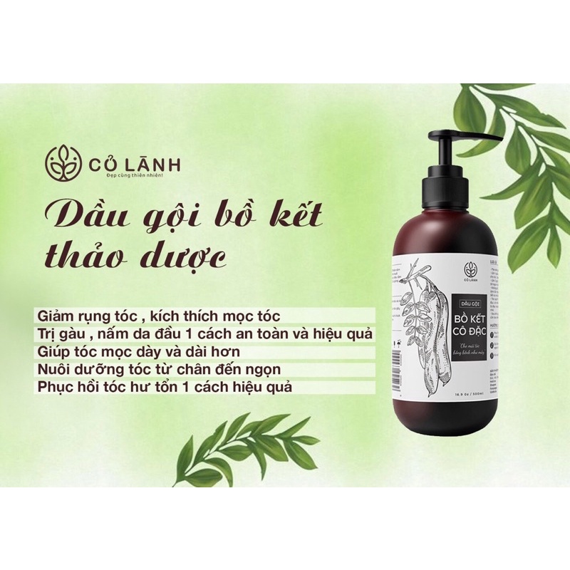 Dầu gội bồ kết cô đặc Cỏ Lành 100ml - 300ml - 500ml