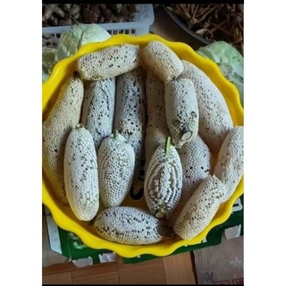 mật ong rừng nguyên chất