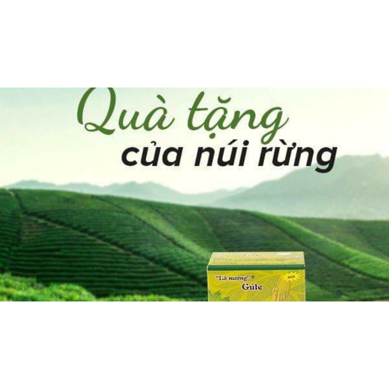 THẢO DƯỢC Lá nương gute - LOẠI I đào thải axit uric hiệu quả