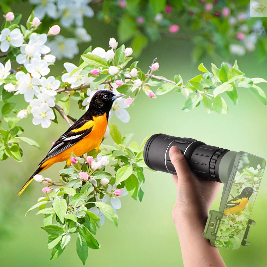 Ống Nhòm Một Mắt Mini 16X52 Công Suất Cao Với Lỗ Vít 1 / 4 Inch Làm Sạch Tiện Dụng Mang Theo Du Lịch