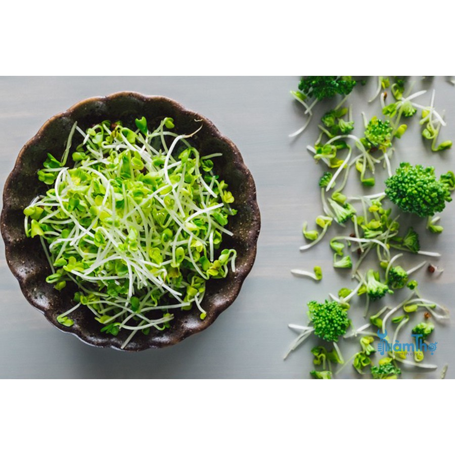 Hạt Giống Mầm Bông Cải Xanh 10gr