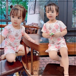 Bộ nguyen quynh nga