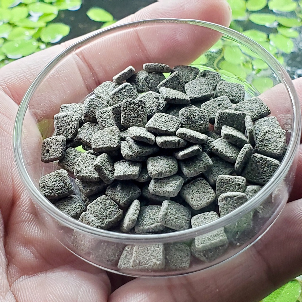 Thức ăn tép cảnh cao cấp kích màu siêu protein SHRIMP FOOD SP - Benibachi