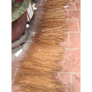 nan lồng các loại